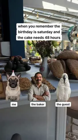 Short video, labelled reaction meme for Crumb & Cardinal Bakehouse, a sample bakery brand, opening frame: who's who at the bakery